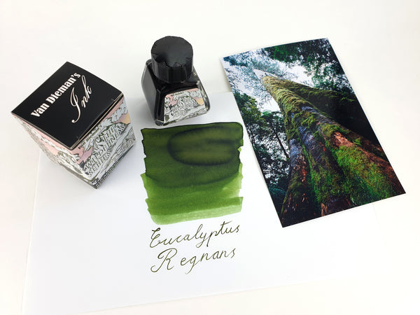 Van Dieman's Ink Eucalptus Regnans Fountain Pen Ink