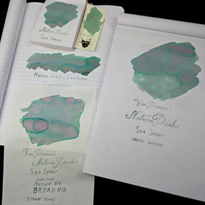 Van Dieman's Ink Sea Spray Fountain Pen Ink