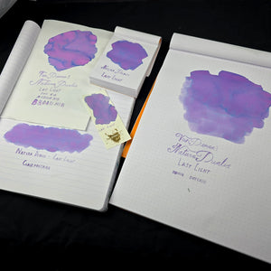 Van Dieman's Ink Last Light Fountain Pen Ink