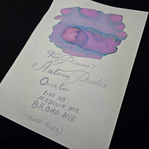 Van Dieman's Ink Overcast Fountain Pen Ink