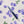 Tom's Studio The Wren Refillable Pen in Blueberry