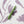 Tom's Studio The Wren Refillable Pen in Botanica
