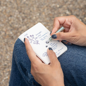 Tom's Studio The Field Mouse Pen