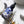 Tom's Studio Ori Permanent Ink in Blue - 30ml