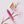 Tom's Studio The Field Mouse Refillable Pen in Sakura
