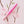 Tom's Studio The Wren Refillable Pen in Sakura